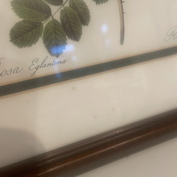 Yellow flower framed print 13x15 vintage 80’s print - Picture 5 of 5